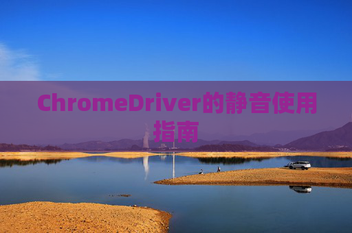 ChromeDriver的静音使用指南
