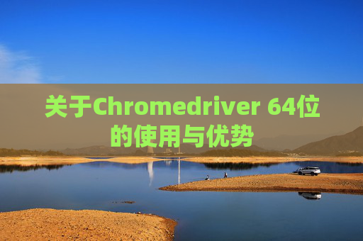 关于Chromedriver 64位的使用与优势
