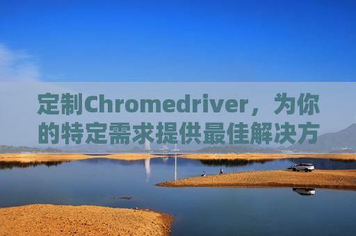 定制Chromedriver，为你的特定需求提供最佳解决方案