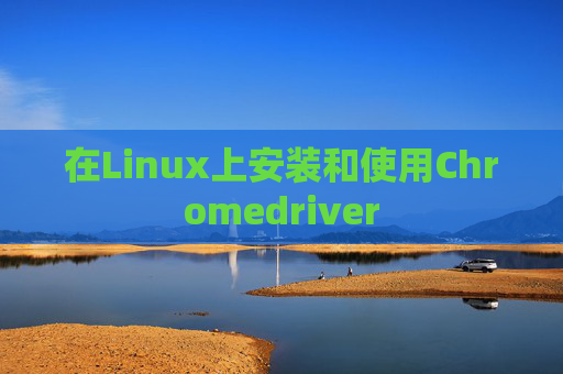 在Linux上安装和使用Chromedriver