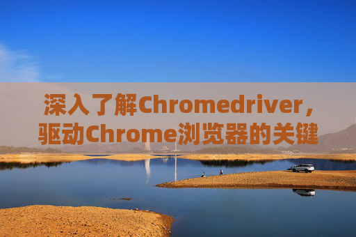 深入了解Chromedriver，驱动Chrome浏览器的关键工具