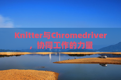 Knitter与Chromedriver，协同工作的力量